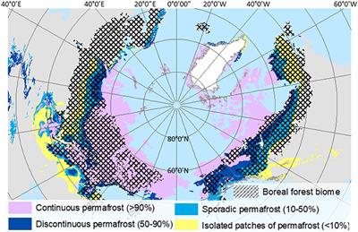 Complex Vulnerabilities of the Water and Aquatic Carbon Cycles to Permafrost Thaw
